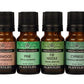 Tree Essential Oil Set