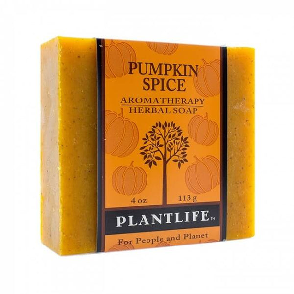 Pumpkin Spice Bar Soap - BotoxBarb 