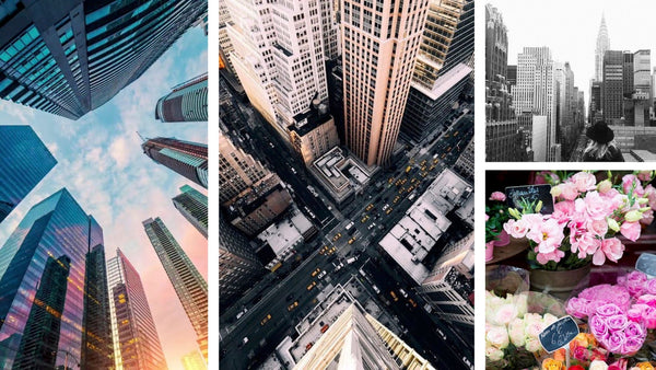 No. 212 Concrete Jungle - BotoxBarb 