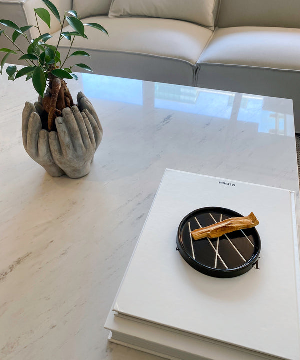 Ceramic Plate - Onyx - BotoxBarb 