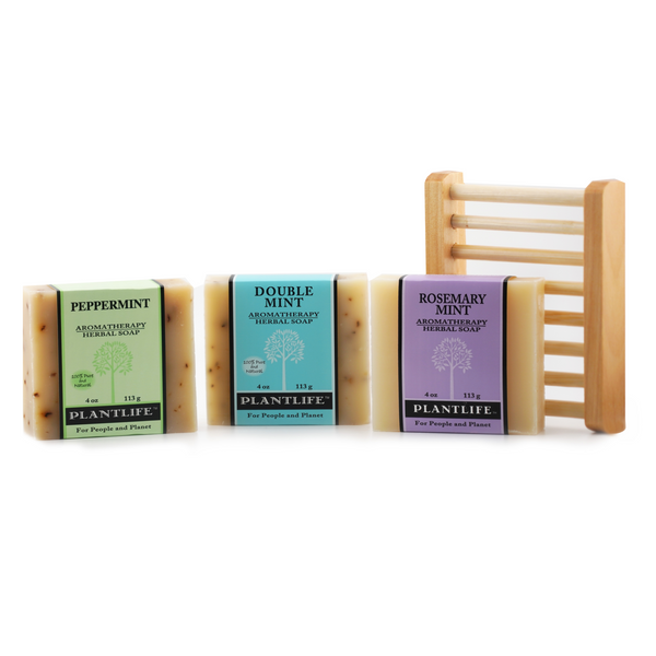Starter Soap Bundle with a Wood Dish - BotoxBarb 