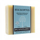 Eucalyptus Bar Soap