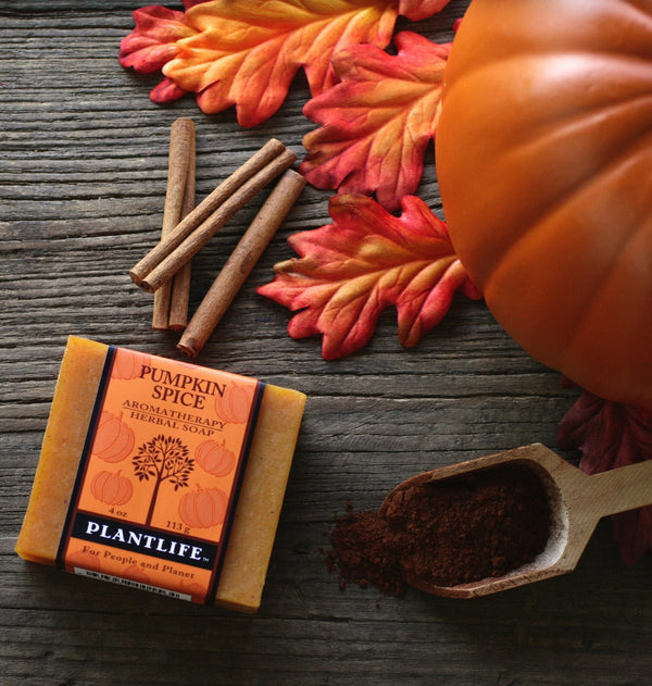 Pumpkin Spice Bar Soap - BotoxBarb 