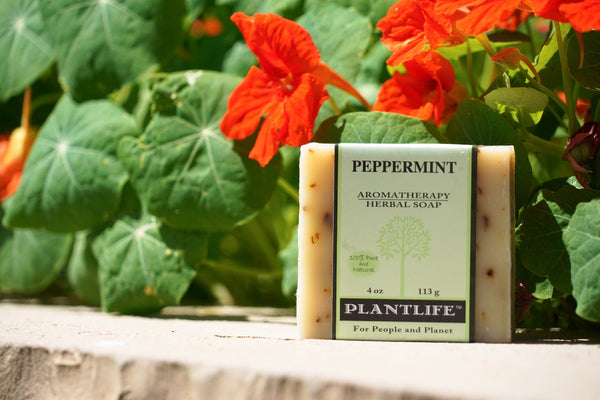Peppermint Bar Soap - BotoxBarb 