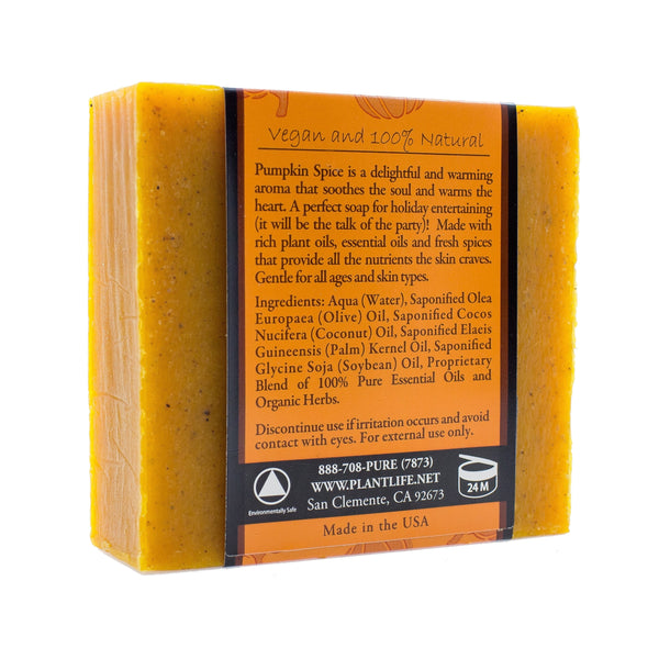 Pumpkin Spice Bar Soap - BotoxBarb 